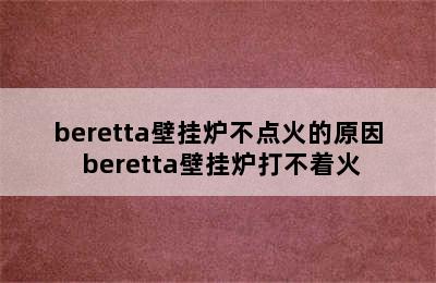 beretta壁挂炉不点火的原因 beretta壁挂炉打不着火